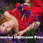 پریست لایت روم حرفه ای تم خاطرات memories Lightroom Presets