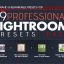 دانلود 29 پریست لایت روم Professional 29 Lightroom Presets Pack VoL.1
