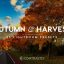 دانلود 35 پریست لایت روم پاییزی :Autumn Harvest LR Presets Vol.1