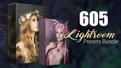 دانلود پکیج 605 پریست لایت روم حرفه ای : Pro 605 Lightroom Presets Bundle