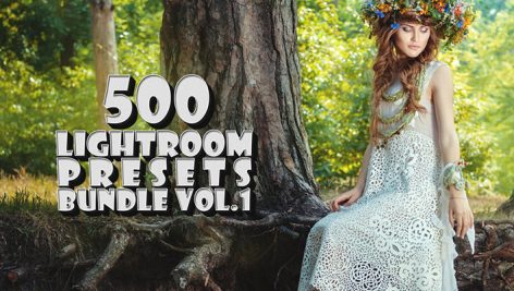 دانلودپکیج 500 پریست لایت روم CreativeMarket 500 Premium Lightroom Presets