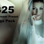 دانلود 325 پریست لایت روم حرفه ای : creativemarket 325 Lightroom Preset Mega Pack