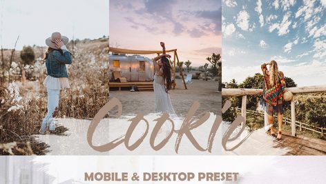 دانلود 4 پریست لایت روم برای دسکتاپ و موبایل : Cookie
