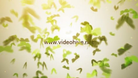 دانلود پروژه آماده افترافکت نمایش لوگو videohive Butterfly Logo