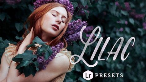 دانلود مجموعه پریست لایت روم دسکتاپ : Lilac Toning Lightroom Presets