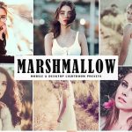 دانلود پریست لایت روم و Camera Raw و اکشن: Marshmallow Lightroom Presets Pack