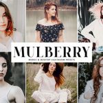 دانلودپریست لایت روم دسکتاپ و موبایل : Mulberry Mobile Desktop Lightroom Presets