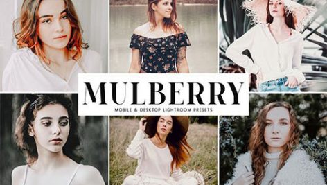 دانلودپریست لایت روم دسکتاپ و موبایل : Mulberry Mobile Desktop Lightroom Presets