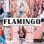 دانلود پریست لایتروم و Camera Raw و اکشن: Flamingo Pro Lightroom Presets