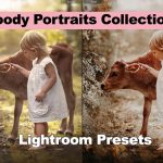 دانلود مجموعه 21 پریست لایت روم : Moody Portraits Collection Lightroom Presets
