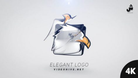 پروژه افترافکت لوگو با رزولوشن ۴K : با موزیک Elegant Logo