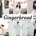 دانلود پریست لایت روم و Camera Raw و اکشن Gingerbread Mobile Desktop Lightroom Presets