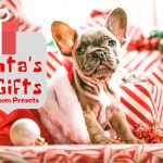 پریست لایت روم دسکتاپ و موبایل تم کریسمس Santa's Gifts Lightroom Presets