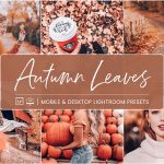 پریست لایت روم دسکتاپ و موبایل تم برگ پاییزی Autumn Leaves Lightroom Presets