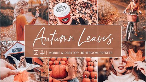 پریست لایت روم دسکتاپ و موبایل تم برگ پاییزی Autumn Leaves Lightroom Presets