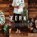 پریست لایت روم دسکتاپ و موبایل تم رنگ گرم Rich Warm FERN Lightroom Presets