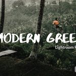 پریست لایت روم دسکتاپ و موبایل تم سبز Green Lightroom Presets XMPDNG