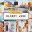 پریست لایت روم دسکتاپ و موبایل تم ماه گل Bloomy June Lightroom Preset