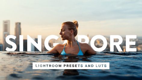 پریست لایت روم و لات رنگی تم سنگاپور Singapore Lightroom Presets LUTs