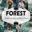 پریست لایت روم دسکتاپ و موبایل تم جنگل Forest Mobile And Desktop Lightroom Presets