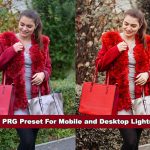 پریست لایت روم دسکتاپ و موبایل تم روشن ARTA PRG Preset For Mobile and Desktop Lightroom