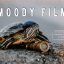 پریست لایت روم دسکتاپ و موبایل تم طبیعت Clean And Moody Film Lightroom Presets