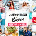 پریست لایت روم دسکتاپ و موبایل تم تعطیلات تابستانی BLOOM Lightroom Presets