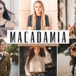 پریست لایت روم و پریست کمرا راو تم رنگ فندقی Macadamia Lightroom Presets Pack Graphic