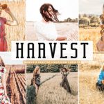 پریست لایت روم و پریست کمرا راو تم کشتزار Harvest Pro Lightroom Presets