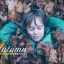 25 پریست لایت روم تم رنگی فصل پاییز Autumn Lightroom Presets