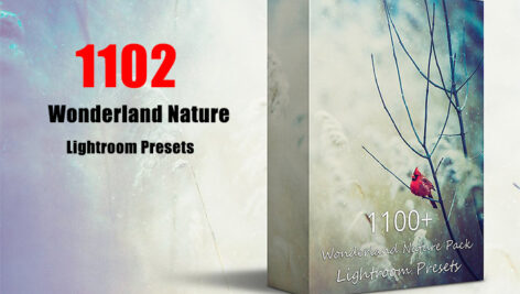 پکیج 1102 پریست لایت روم حرفه ای عجایب طبیعت Wonderland Nature Pack Presets