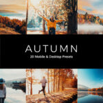 پریست لایت روم و پریست کمرا راو و لات رنگی پاییز Autumn Lightroom Presets & LUTs