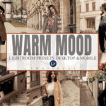 12 پریست لایت روم حرفه ای مد روز Warm Mood Lightroom Desktop and Mobile Presets