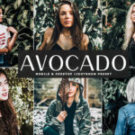 20 پریست لایت روم حرفه ای تم آوکادو Avocado Mint Mood Lightroom Presets