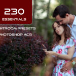 230 پریست لایت روم و پریست کمرا راو فتوشاپ و براش لایت روم Essentials Lightroom presets And Photoshop ACR