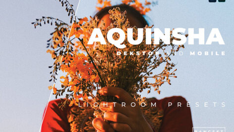 20 پریست رنگی لایت روم پرتره حرفه ای Aquinsha Lightroom Preset