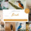 42 پریست لایت روم حرفه ای پرندگان و حیوانات Birds Lightroom Presets