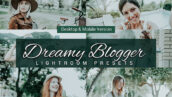 80 پریست لایت روم بلاگر و کمرا راو و اکشن فتوشاپ و لات رنگی Dreamy Blogger Lightroom Presets