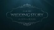 تایتل آماده پریمیر پرو 2021 عروسی تم نقره ای Silver Wedding Titles