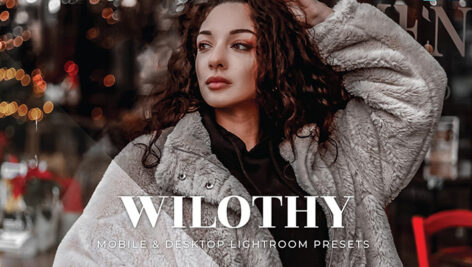 20 پریست لایت روم پرتره فوق حرفه ای Wilothy Lightroom Presets