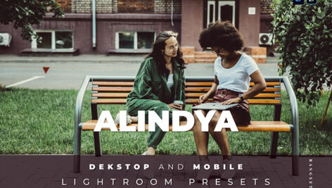 20 افکت رنگی لایت روم دسکتاپ و موبایل Alindya Lightroom Preset