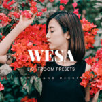 20 پریست لایت روم پرتره فصل تابستان Wesa Lightroom Presets