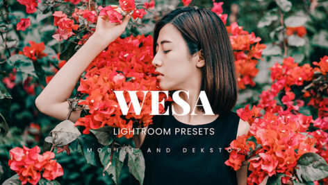 20 پریست لایت روم پرتره فصل تابستان Wesa Lightroom Presets