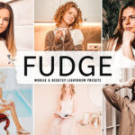 40 پریست لایت روم پرتره تم شکلاتی و پریست کمرا راو و اکشن فتوشاپ Fudge Lightroom Presets