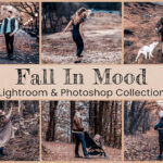 32 پریست لایت روم پاییزی فوق حرفه ای Fall In Mood Lightroom PS Presets