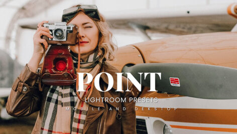 20 پریست لایت روم رنگی حرفه ای پرتره Point Lightroom Presets