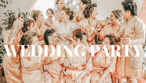20 پریست لایت روم عروسی حرفه ای Wedding Party Lightroom Presets