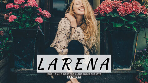 20 پریست لایت روم پرتره حرفه ای Larena Lightroom Presets