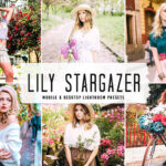 40 پریست لایت روم پرتره و پریست کمرا راو و اکشن فتوشاپ Lily Stargazer Lightroom Presets