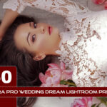 50 پریست لایت روم عروس حرفه ای Extra PRO Wedding Dream Lightroom Presets